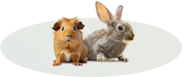 Drobní savci