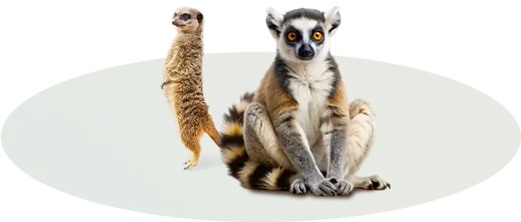 Exoti