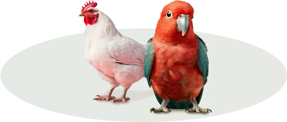 Ptáci